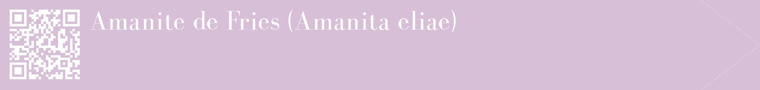 étiquette 2