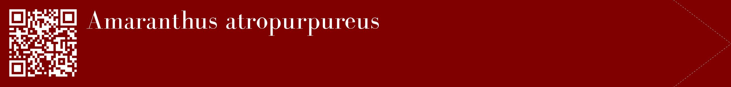 étiquette 2