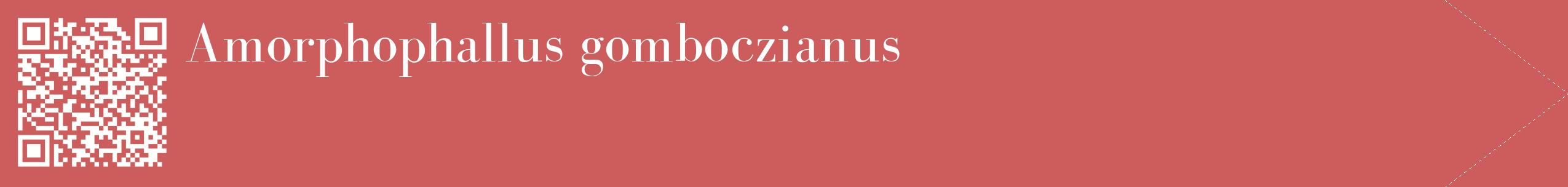 étiquette 2