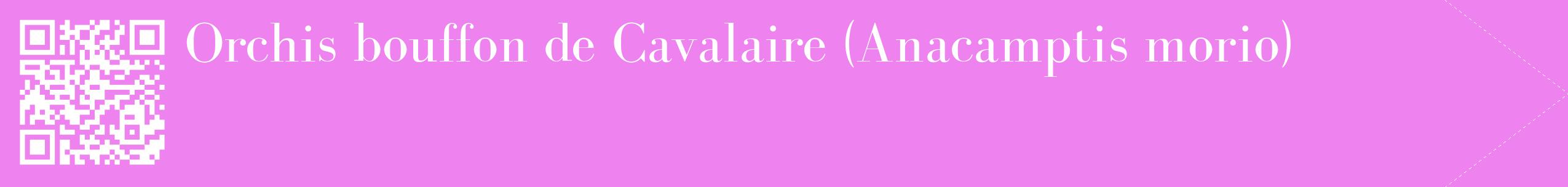 étiquette 2