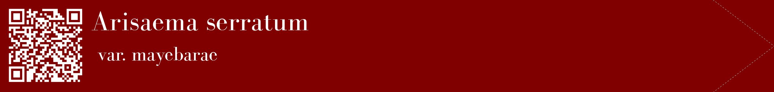étiquette 2