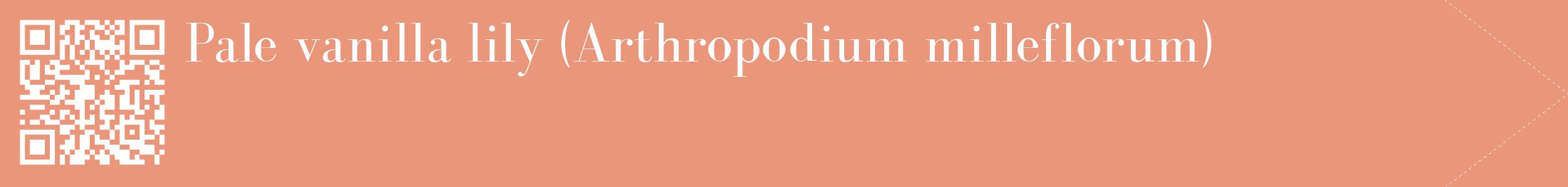 étiquette 2
