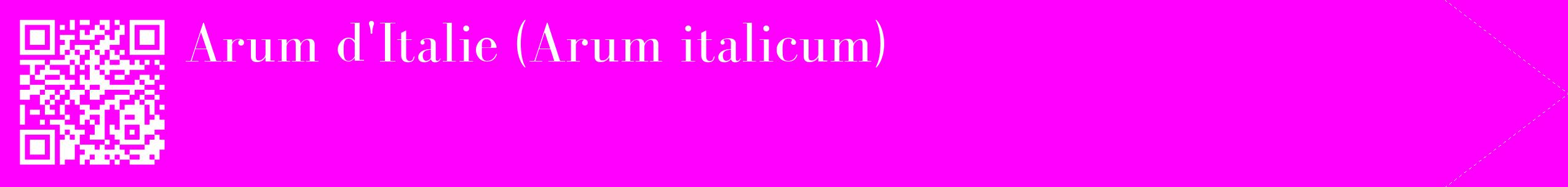 étiquette 2