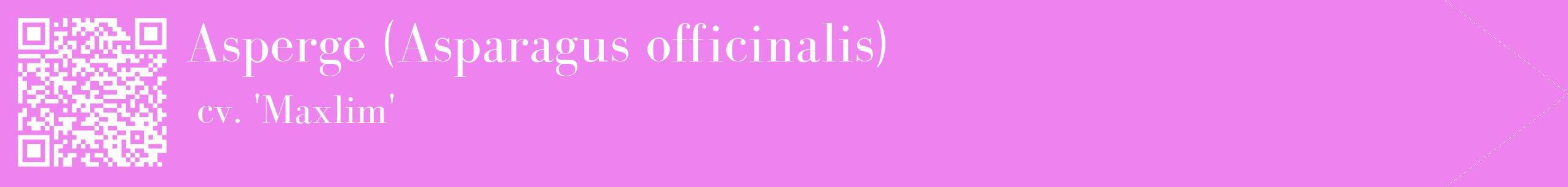 étiquette 2