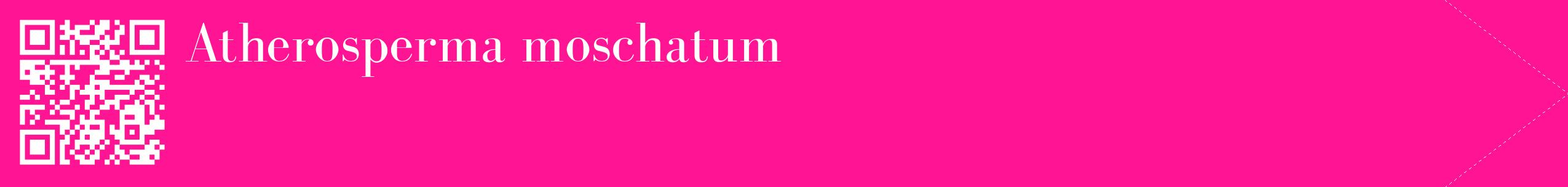 étiquette 2