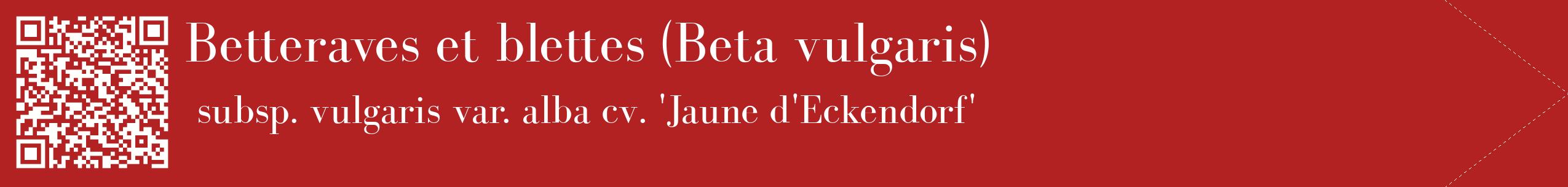 étiquette 2