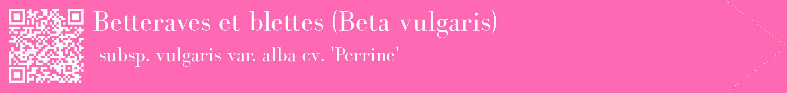 étiquette 2