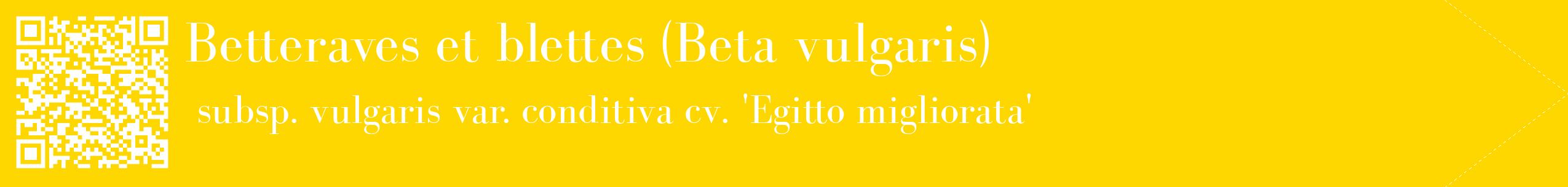 étiquette 2