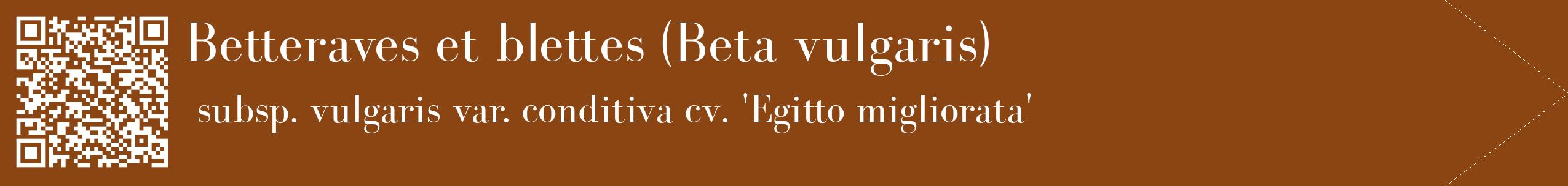 étiquette 2