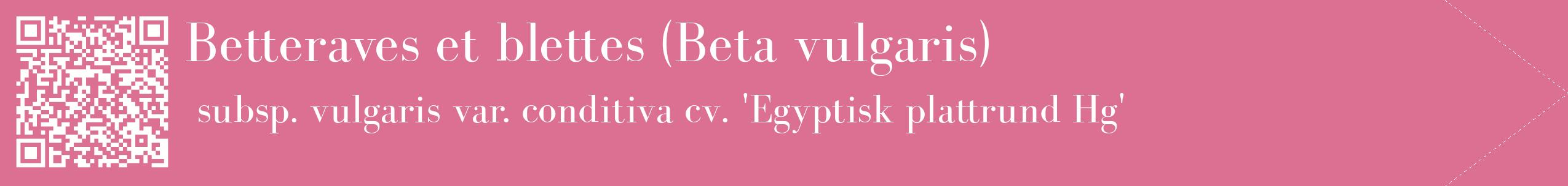 étiquette 2