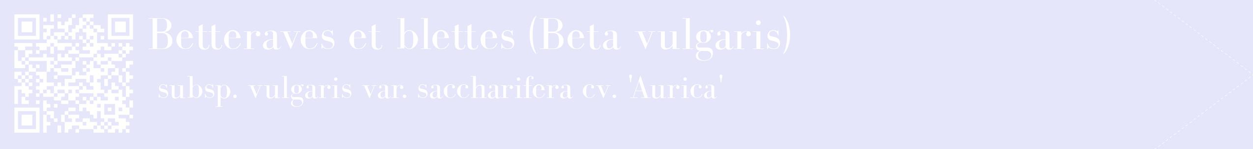 étiquette 2