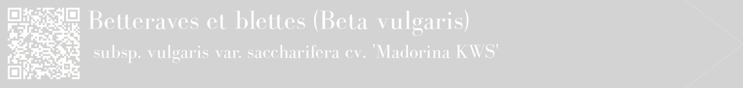 étiquette 2