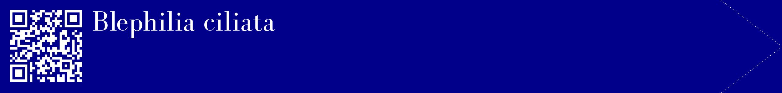étiquette 2