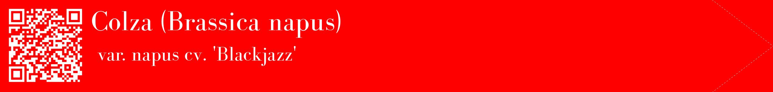 étiquette 2