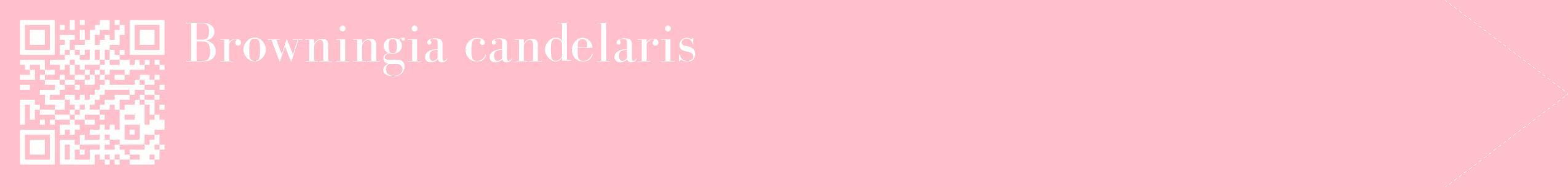 étiquette 2
