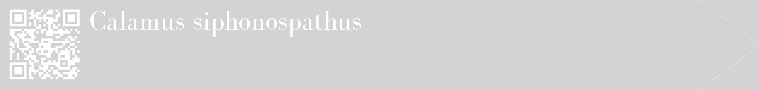 étiquette 2