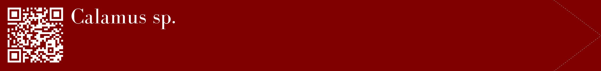 étiquette 2