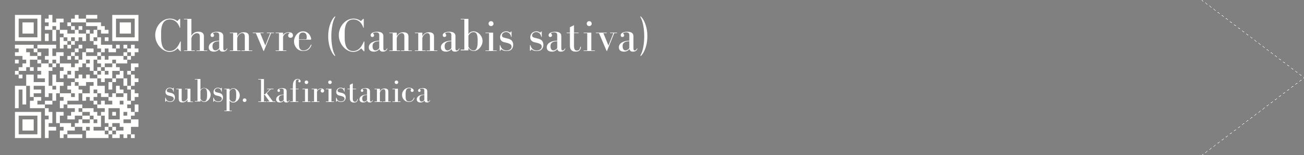étiquette 2