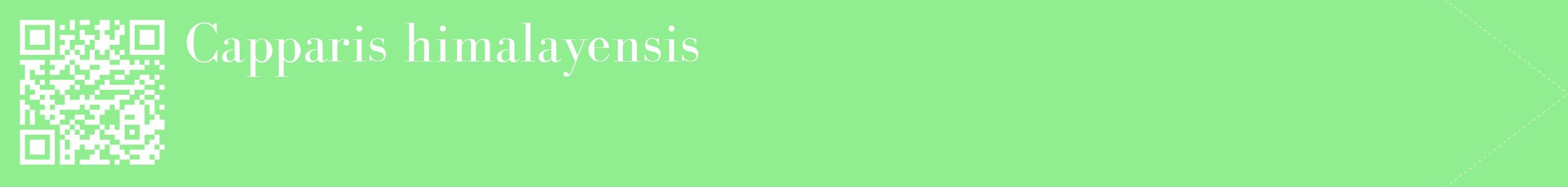 étiquette 2