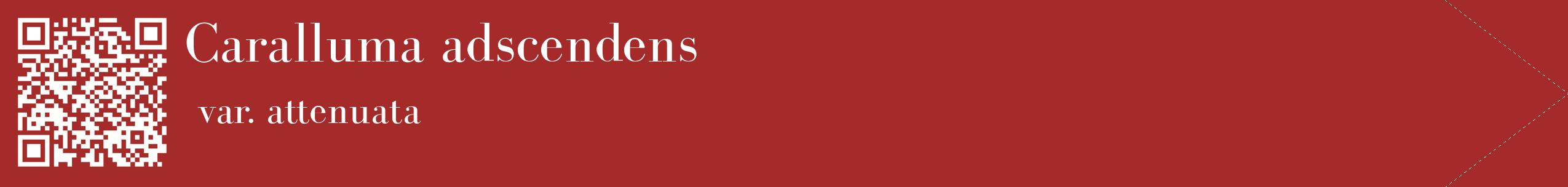 étiquette 2