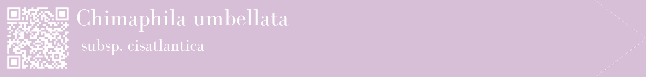 étiquette 2