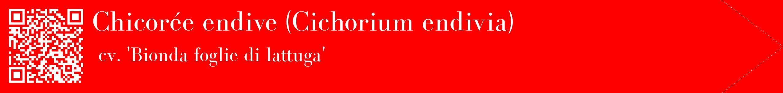 étiquette 2