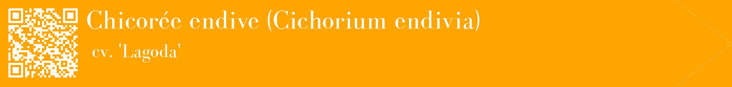 étiquette 2