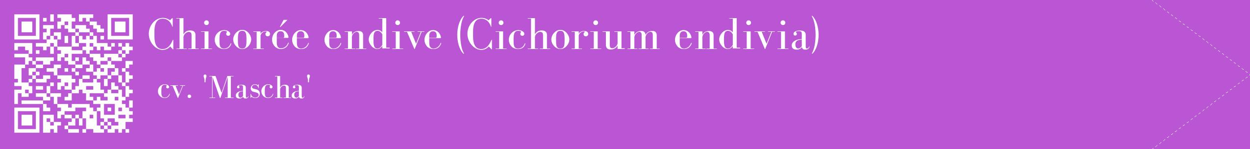 étiquette 2