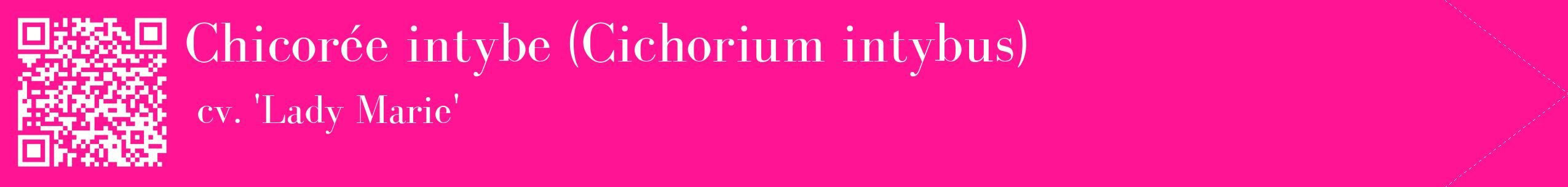 étiquette 2