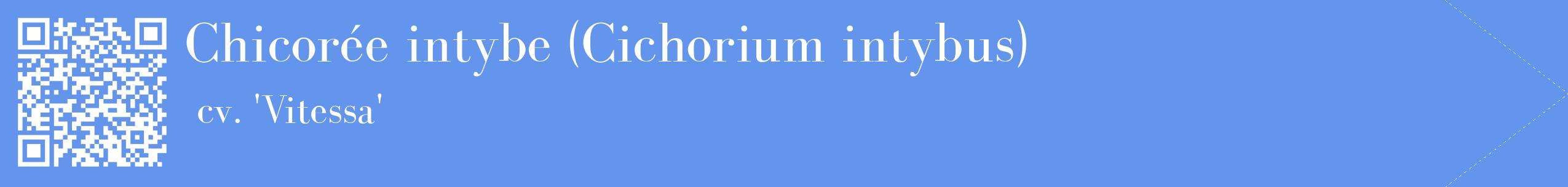étiquette 2