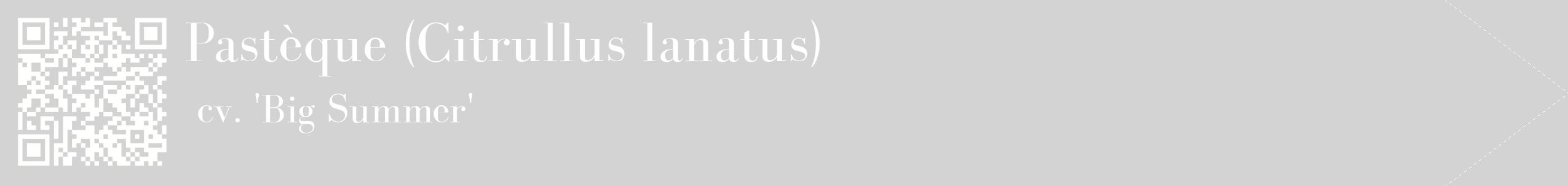 étiquette 2