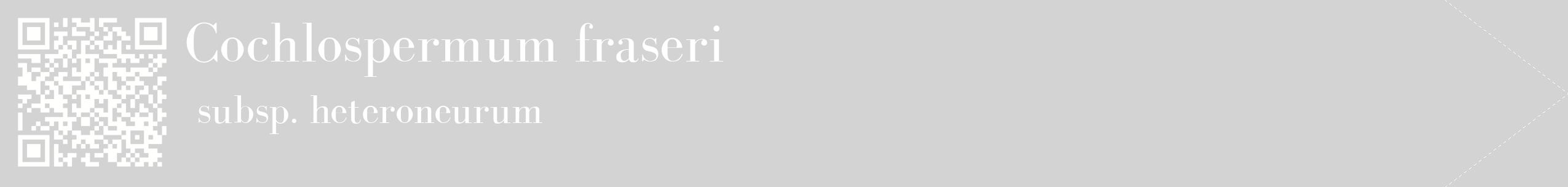 étiquette 2