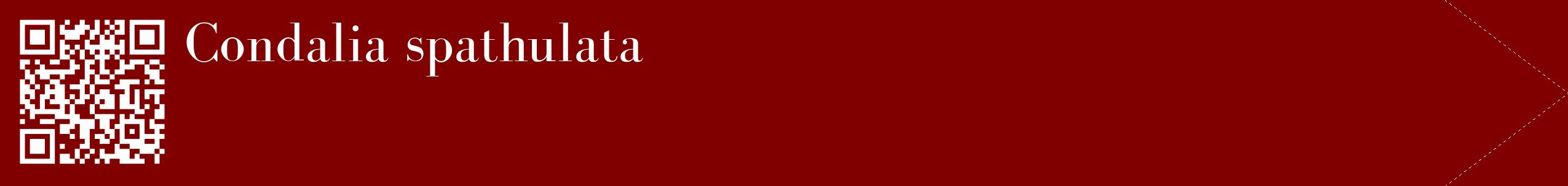 étiquette 2