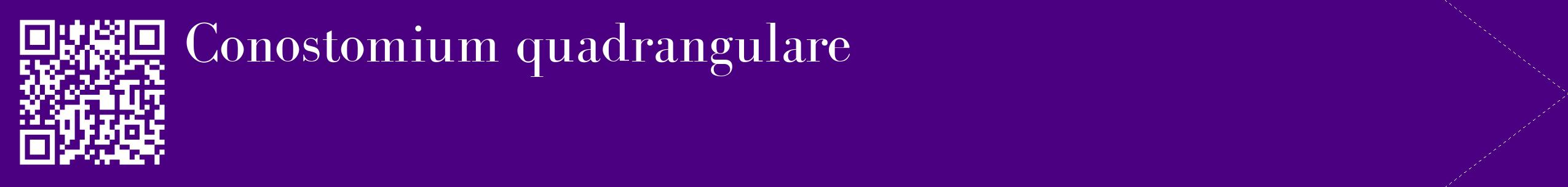 étiquette 2
