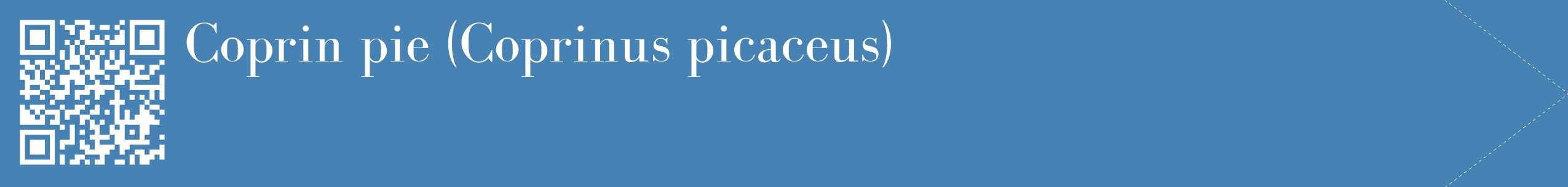 étiquette 2