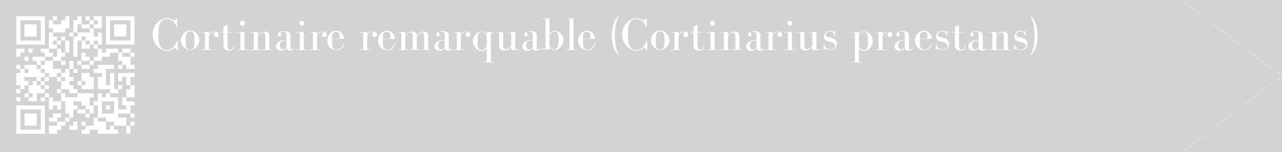 étiquette 2