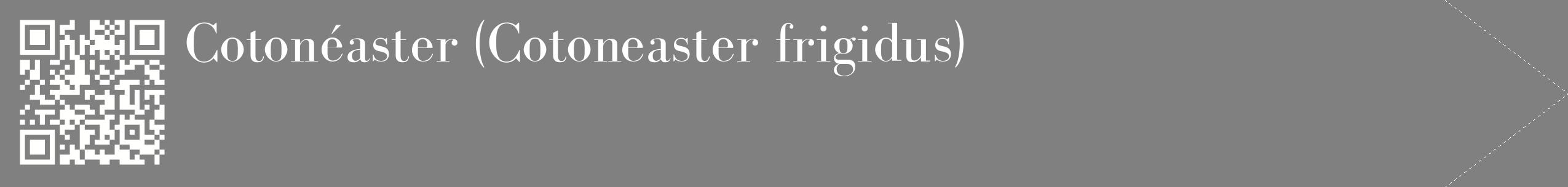 étiquette 2