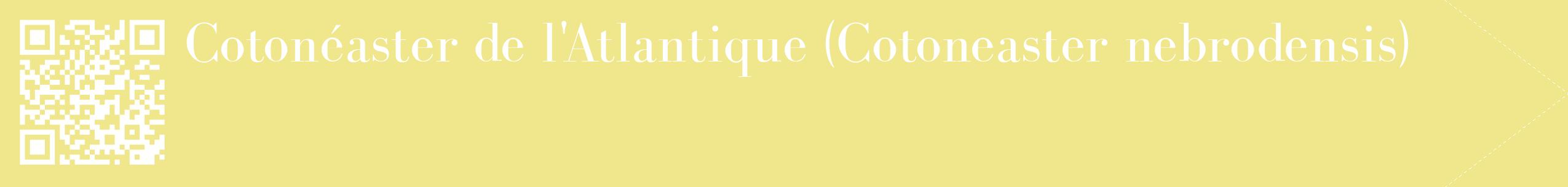 étiquette 2