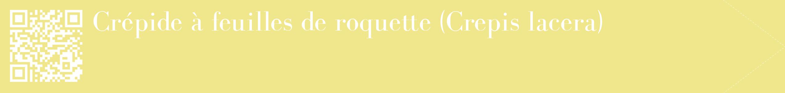 étiquette 2