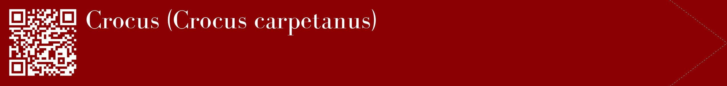étiquette 2