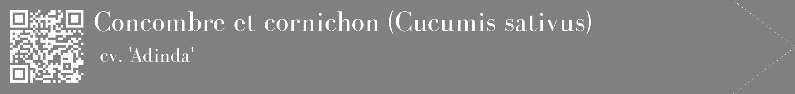 étiquette 2
