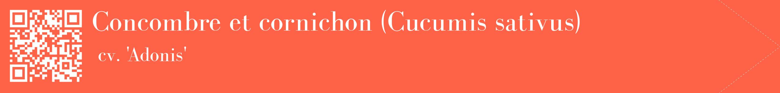 étiquette 2