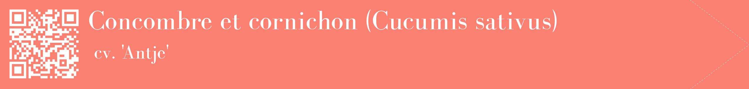 étiquette 2