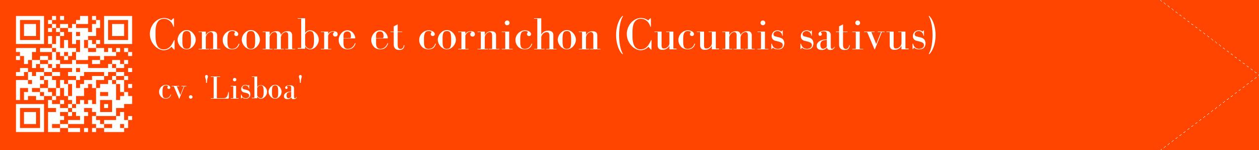 étiquette 2