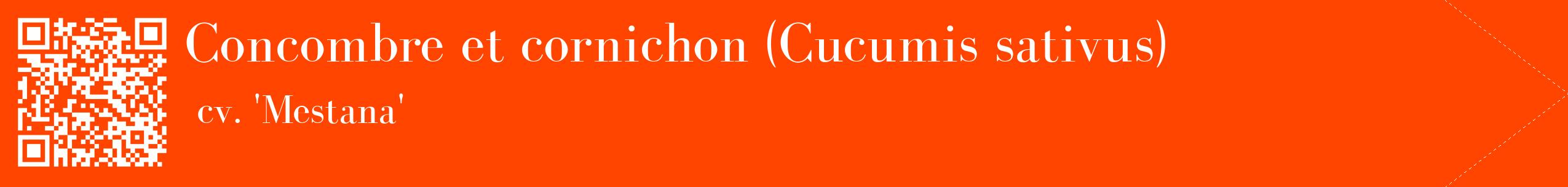 étiquette 2