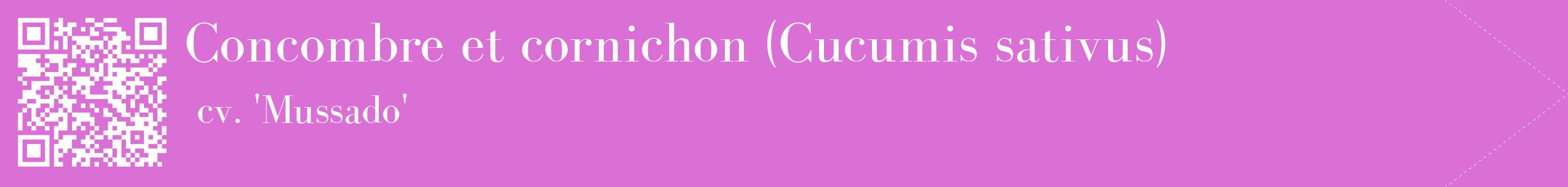 étiquette 2