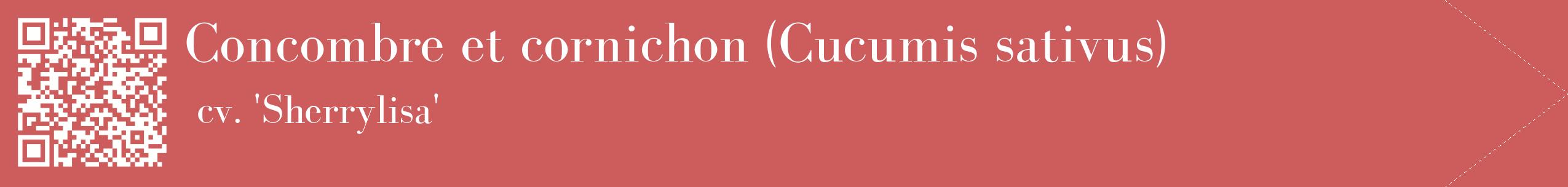 étiquette 2