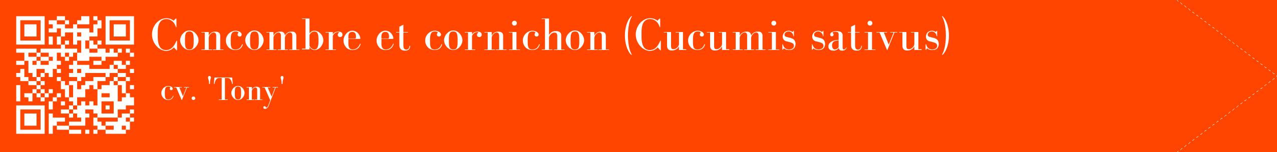 étiquette 2