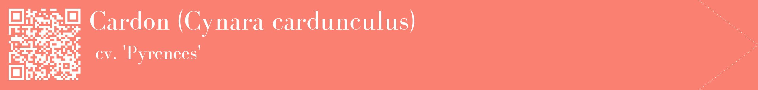 étiquette 2
