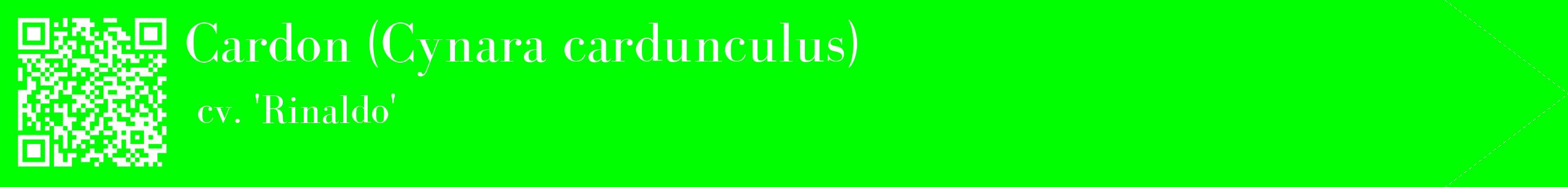 étiquette 2